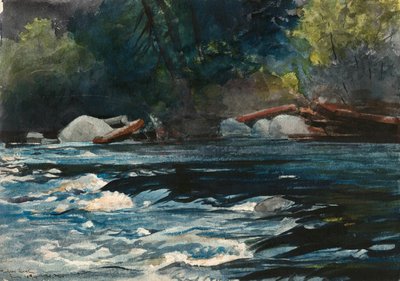 The Rapids, rzeka Hudson, Adirondacks autorstwa Winslow Homer