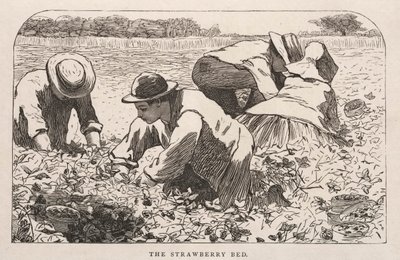 Łóżko truskawkowe, 1868. autorstwa Winslow Homer