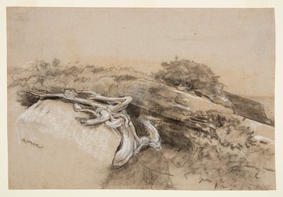 Korzenie drzew, szyja Prouta autorstwa Winslow Homer
