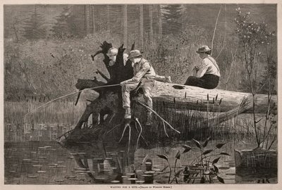 Czekając na kęs autorstwa Winslow Homer