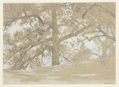 Waverly Oaks autorstwa Winslow Homer