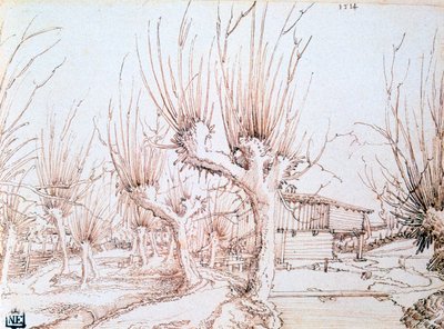 „Plantacja wierzby”, 1514 autorstwa Wolf Huber