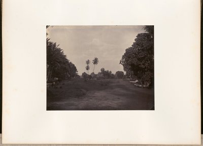 [Prace brukarskie na drodze w Prapatan, Batavia]. autorstwa Woodbury and Page