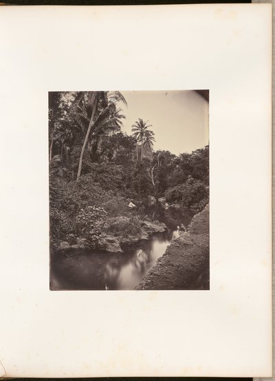 [Rzeka w Kupang] autorstwa Woodbury and Page