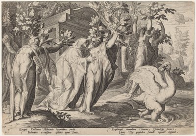 Siostry Faetona zamienione w topole, a Cygnus w łabędzia autorstwa Workshop of Hendrick Goltzius, after Hendrick Goltzius