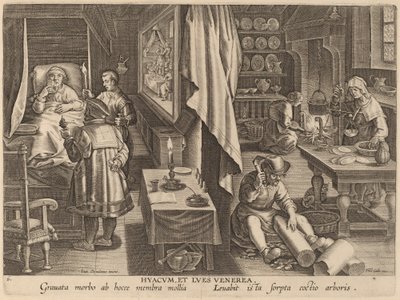 Guaiacum i infekcja weneryczna autorstwa Workshop of Philip Galle after Jan van der Straet