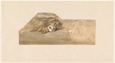 Studia dwóch lwów autorstwa Wouter Johannes van Troostwijk