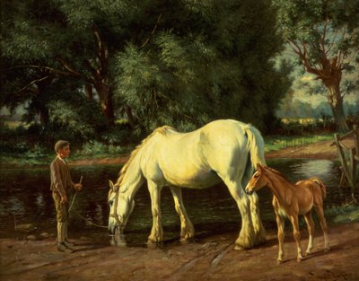 Klacz i jej źrebię w bród (olej na płótnie) autorstwa Wright Barker