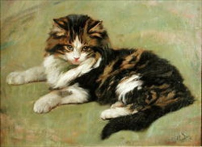 Studium kota (olej na pokładzie) autorstwa Wright Barker