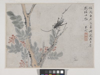 Owad i drzewo po Shen Zhou (tusz i kolor na papierze) autorstwa Wu Wang