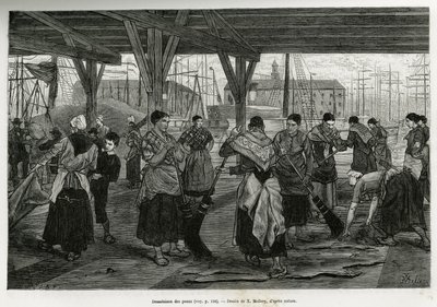 Spustoszenie skór przez kobiety zeskrobujące szczątki bestii rozciągniętych pod konstrukcjami sal portu w Antwerpii. Grawer autorstwa X.Mellery, ilustrujący historię Belgii, autorstwa Camille Lemonnier, opublikowany w Tour du monde, wyd. autorstwa Xavier Mellery