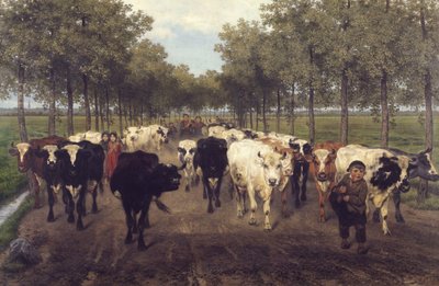Meersstraat w Gandawie autorstwa Xavier de Cock