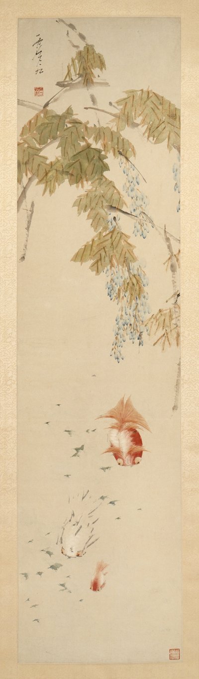 Wisteria i złota rybka 紫藤金魚圖 autorstwa Xugu