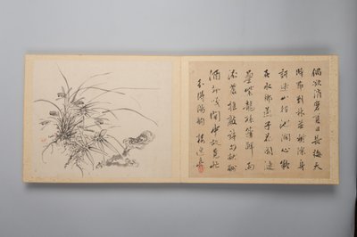 Wyrafinowana elegancja w czterech porach roku Shiji seiga, Album obrazów kwiatowych, 1844. autorstwa Yamamoto Baiitsu