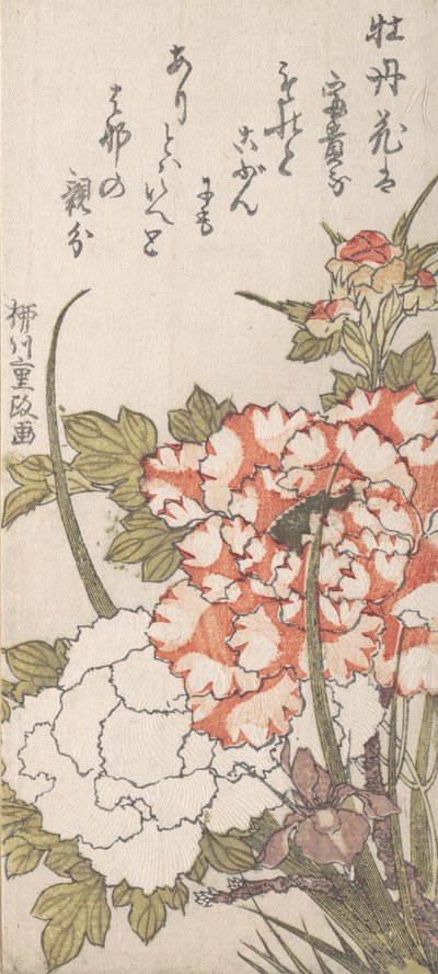 Piwonie i Irys, XVIII-XIX w. autorstwa Yanagawa Shigemasa