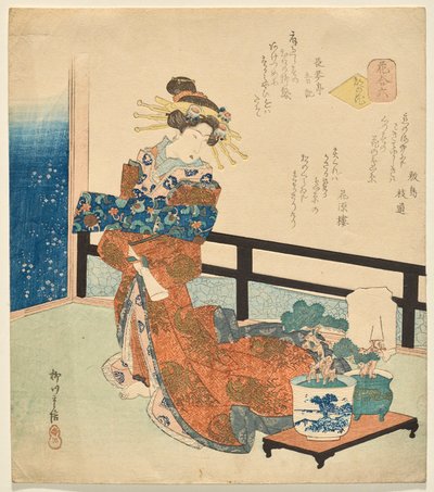Numer Szósty: Kwiaty stolicy z cyklu Kwiaty autorstwa Yanagawa Shigenobu II