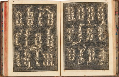 Kompilacja subtilissima, zatytułowana Orthographia pratica, 1548. autorstwa Yciar