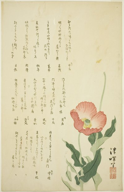 Dwa maki autorstwa Yokoyama Seiki