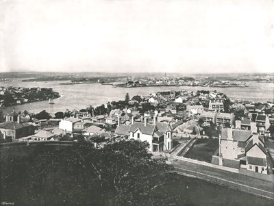 Widok z North Shore, Sydney, Australia, 1895. autorstwa York and Son