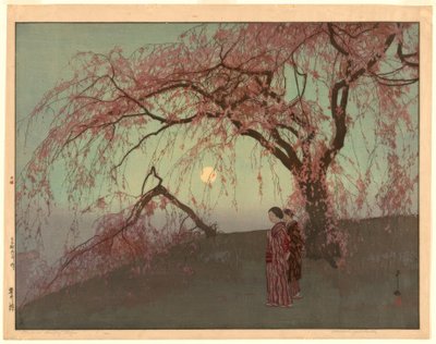 Wiśnie Kumoi (Kumoi sakura) autorstwa Yoshida Hiroshi