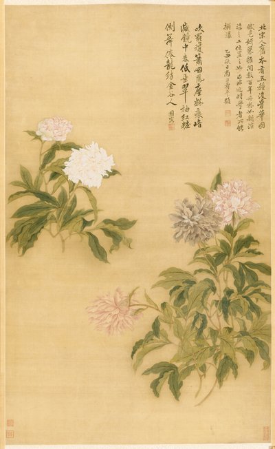 Piwonie autorstwa Shouping Yun