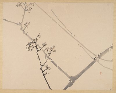  autorstwa Zeshin Shibata