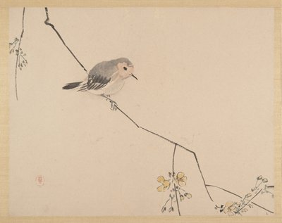  autorstwa Zeshin Shibata