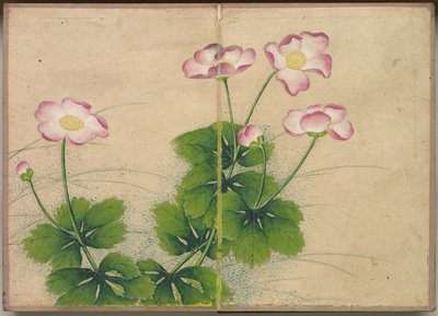 Album na biurko: Obrazy kwiatów i ptaków malwy, XVIII wiek. autorstwa Zhang Ruoai