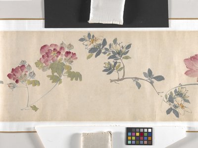 Kolorowe kwiaty autorstwa Zhimian Zhou