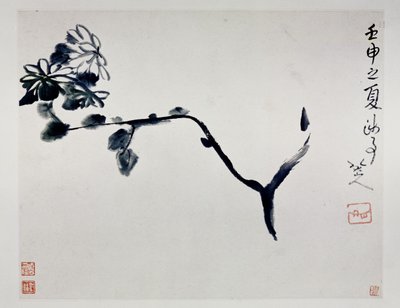 Chryzantema, 1692 autorstwa Zhu Da