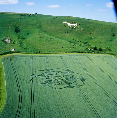 Krąg zbożowy na polu pszenicy, Milk Hill, Alton Priors, Vale of Pewsey, Wiltshire autorstwa Ferdinand Georg Waldmuller