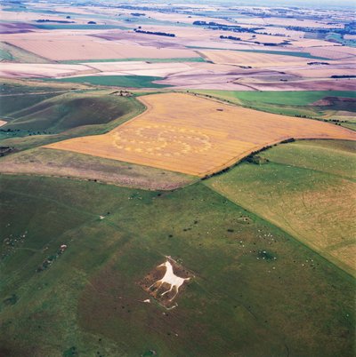 Krąg zbożowy na polu pszenicy, Milk Hill, Alton Priors, Vale of Pewsey, Wiltshire autorstwa Ferdinand Georg Waldmuller