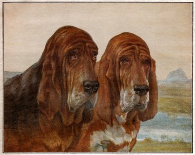 Psy św. Huberta lub Ogara. 1925 (ilustracja) autorstwa . .