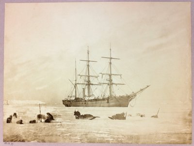 Ekspedycja Arktyczna (1875-1876) kapitana George