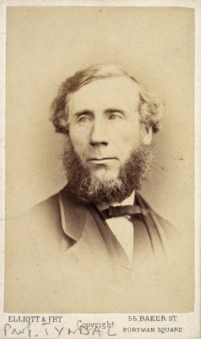 John Tyndall, fizyk irlandzki, ok. 1875 autorstwa Frederick (attr. to) Barnard