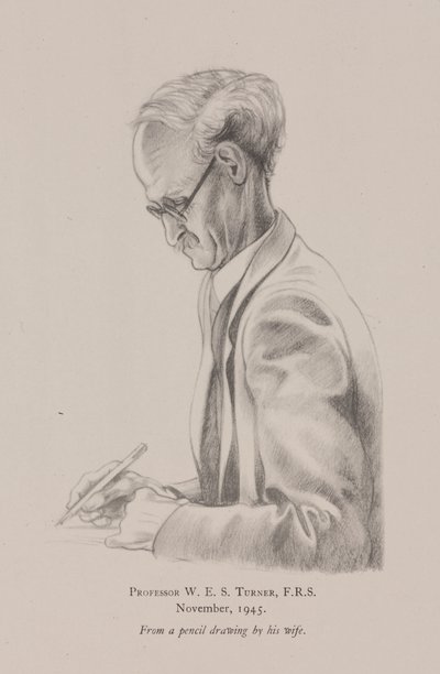 Profesor W E S Turner, listopad autorstwa Frederick (attr. to) Barnard