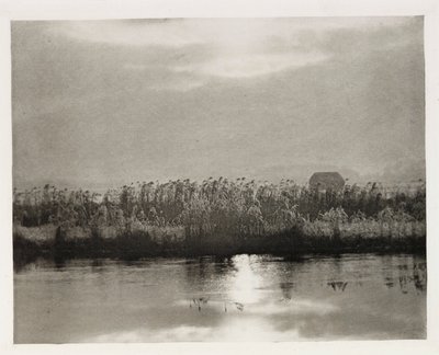 „Kryształy szronu” autorstwa Frederick (attr. to) Barnard