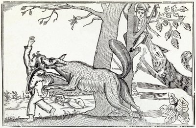 Wilk ok. 1820 r. (rycina) autorstwa . .