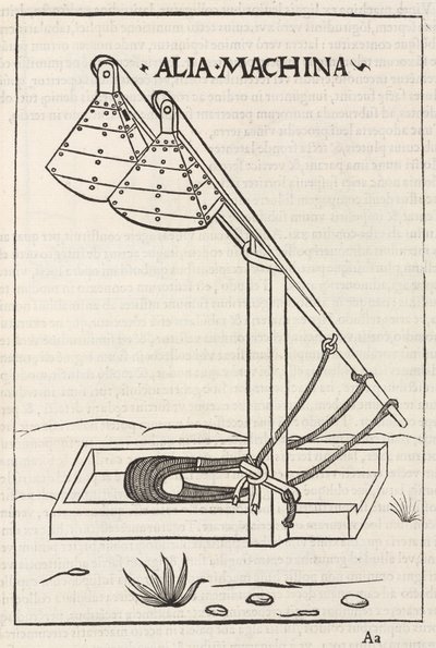 Trebusz autorstwa Frederick (attr. to) Barnard