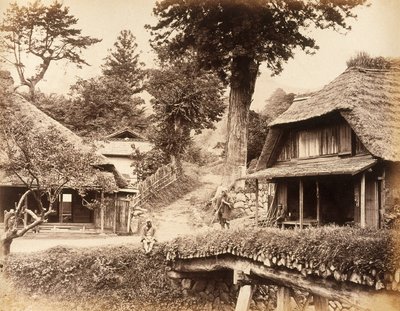 Zobacz w Eiyama, c autorstwa John Pardon