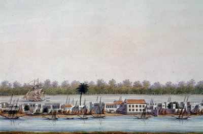 Widok St Louis, Senegal autorstwa William Walcutt