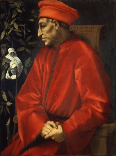 Portret Cosimo Starszego autorstwa Pontormo
