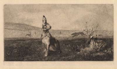 Zając autorstwa after Albert de Balleroy
