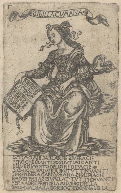 Sybilla kumejska autorstwa after Baccio Baldini