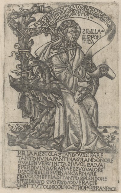 Hellespontyńska Sybilla autorstwa after Baccio Baldini