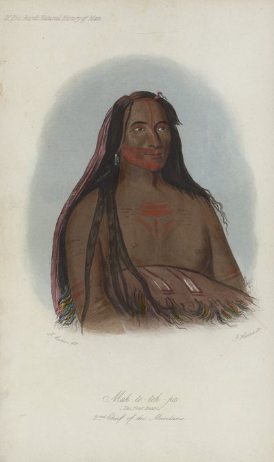 Mah-to-toh-pa, Cztery Niedźwiedzie, 2. Wódz Mandan (akwatinta) autorstwa after George Catlin