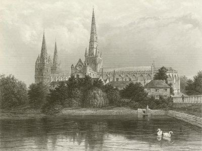 Katedra w Lichfield autorstwa Henry after Warren