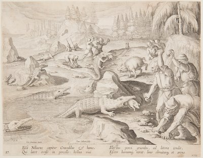 Polowanie na krokodyle autorstwa after Jan van der Straet, called Stradanus