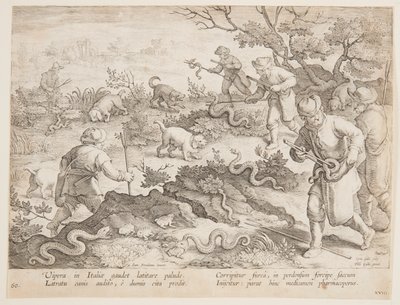 Polowanie na węże autorstwa after Jan van der Straet, called Stradanus