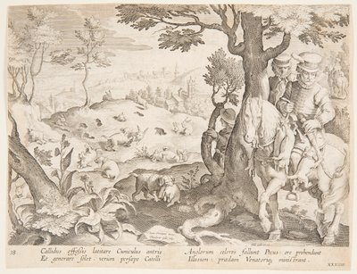 Polowanie na króliki autorstwa after Jan van der Straet, called Stradanus